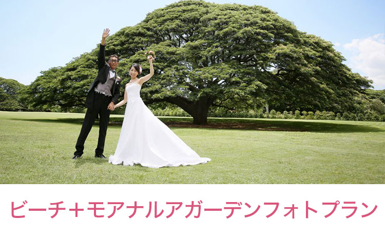 ビーチ+モアナルアガーデン