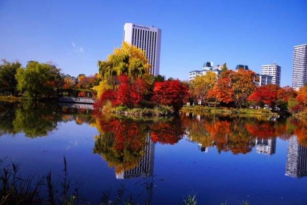 紅葉が美しい北海道の池